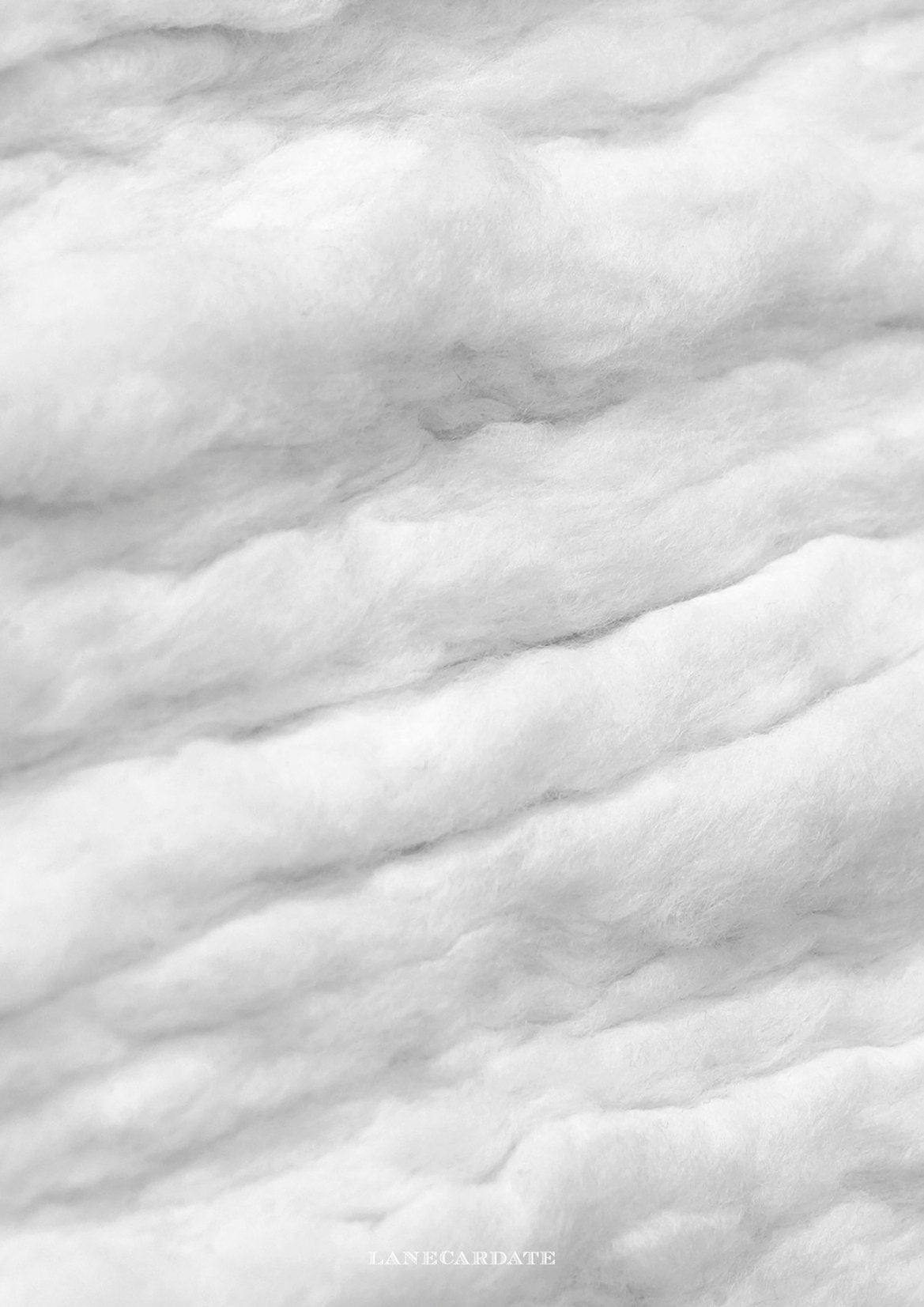 white fluffy raw wool